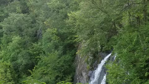 Skyline Drive Waterfall Hike