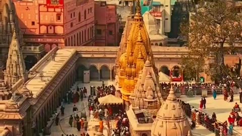 है विश्वनाथ बाबा सबसे बड़ा प्रतापी🕉️