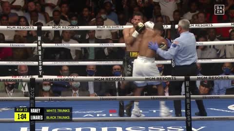 Devin Haney vs Jorge Linares Highlights