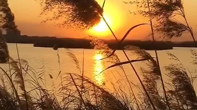 The beautiful lake