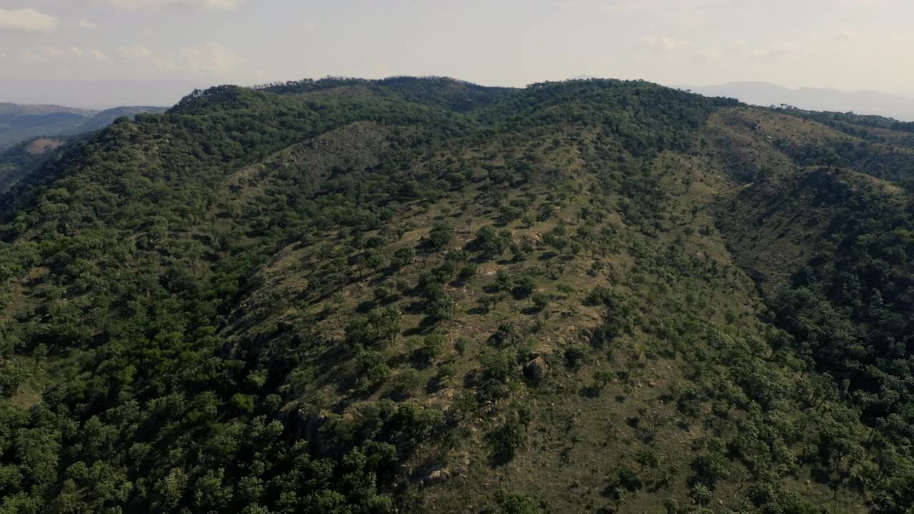 Tree covered mountains,Aerial shot of mountains full of trees.