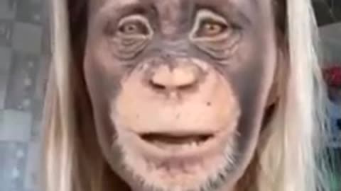 Monkey Pox PSA