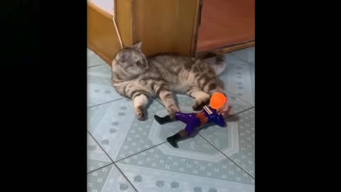 Try Not To Laugh To These Pets Compilation doll show gun in cat and cat very angry.