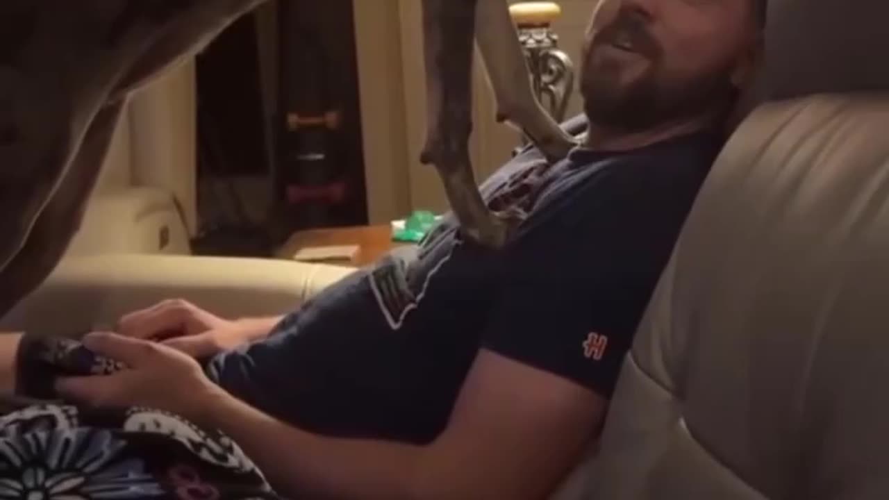 Can we play please 😂😂😂