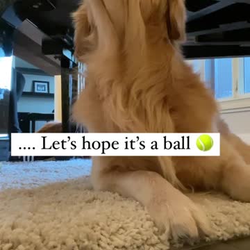 Relax. Sleep. Sing at the end of the week. Fun too.