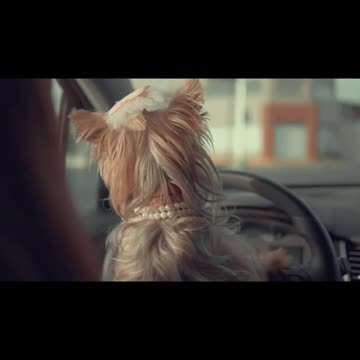 The same moment when you have cheeks like William's cat 🤣 Quarantine - "Thank You" 🥴