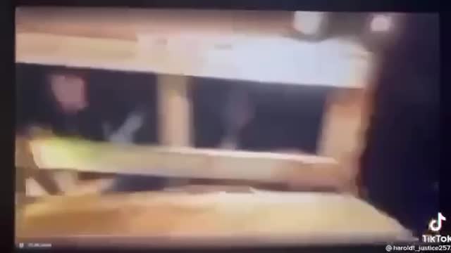 HUMAN TRAFFICKING CHAIN EXPOSED!