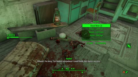 Fallout 4 play through with mods new run