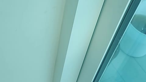 Tampa Bay Chemtrail Report, 1/19/2022