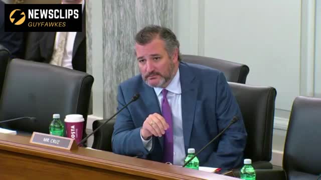 Senator Ted Cruz Grills Pete Buttigieg 'So Was The Hunter Biden Laptop A Disinformation'