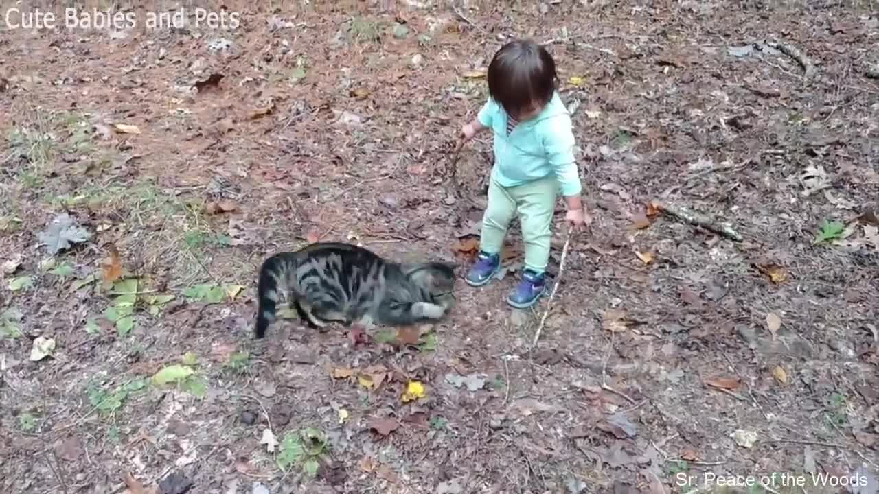 Cute Cat Playing with Baby