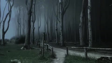 What kind of heart would you like this atmosphere?