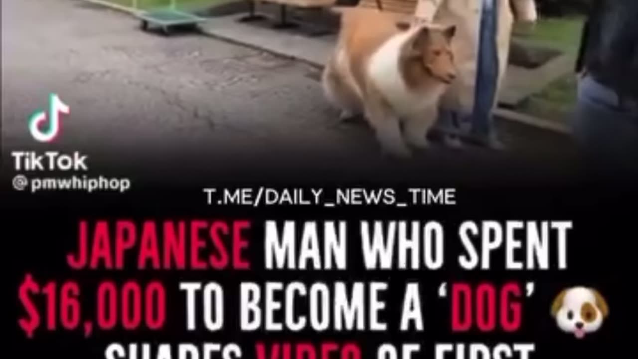 A man who spent three over $20k to become Dog