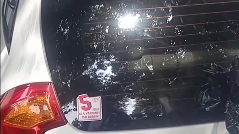 Cutting sticker car KIA