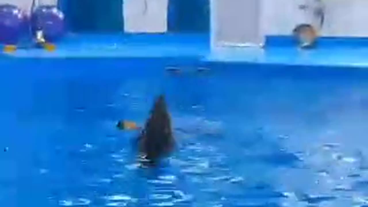 Tricks