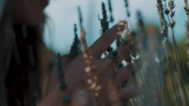 Woman and a butterfly in a field of lavender