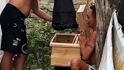 Funny video about bees-2