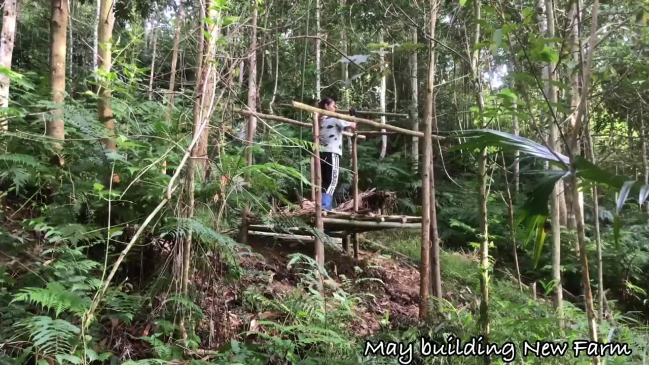 How to make chicken coop from bamboo l Take the baby chickens to the new farm