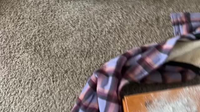 Kid Creates Ashen Chaos in the Living Room