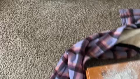 Kid Creates Ashen Chaos in the Living Room