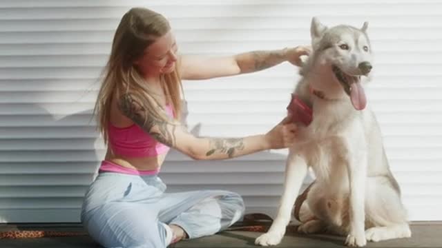 a woman brushing her dog