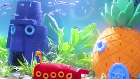 Bikini Bottom in a Fish Tank 🍍