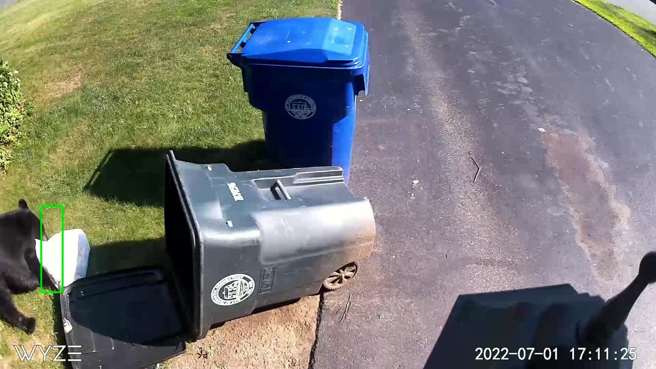 Bear Becomes a Garbage Thief