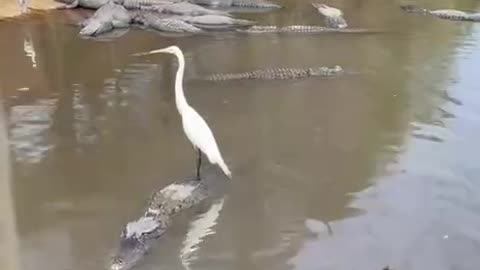 Have you ordered a taxi