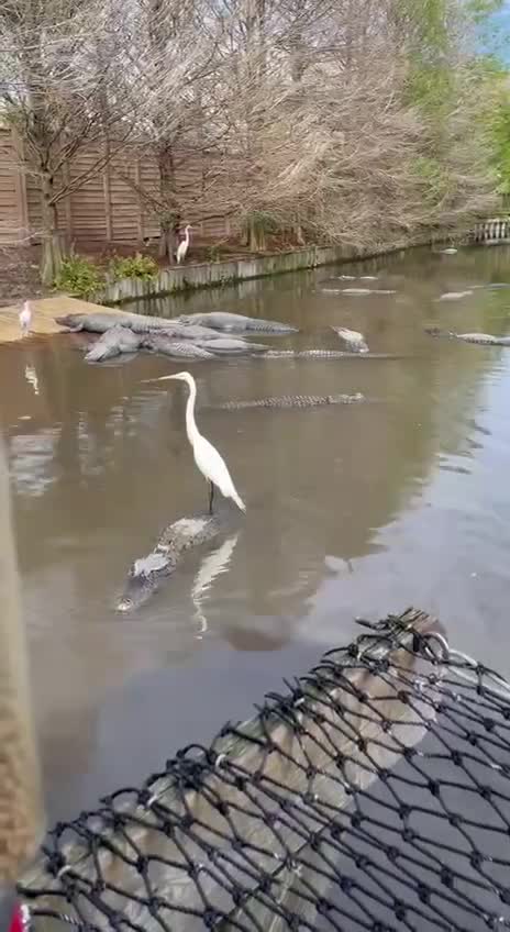 Have you ordered a taxi