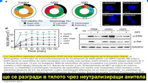 Анализ на ваксините за Covid-19