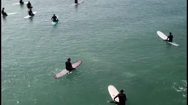 Whale Swims Beneath Group of Surfersz