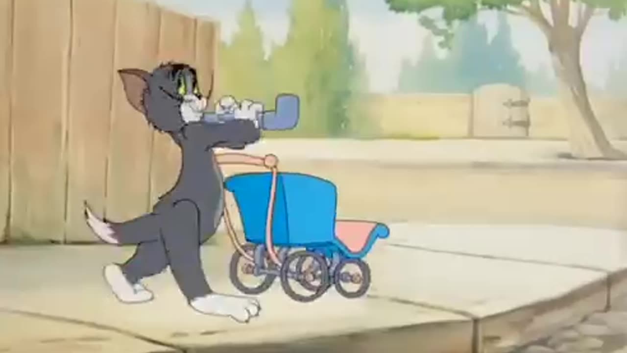 Tom and jerry