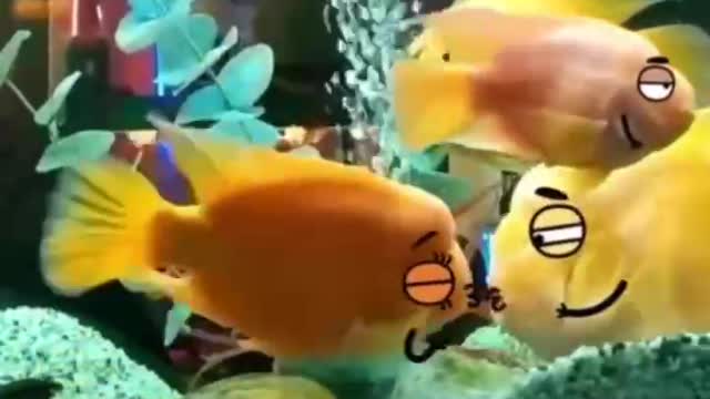These animals are so cute