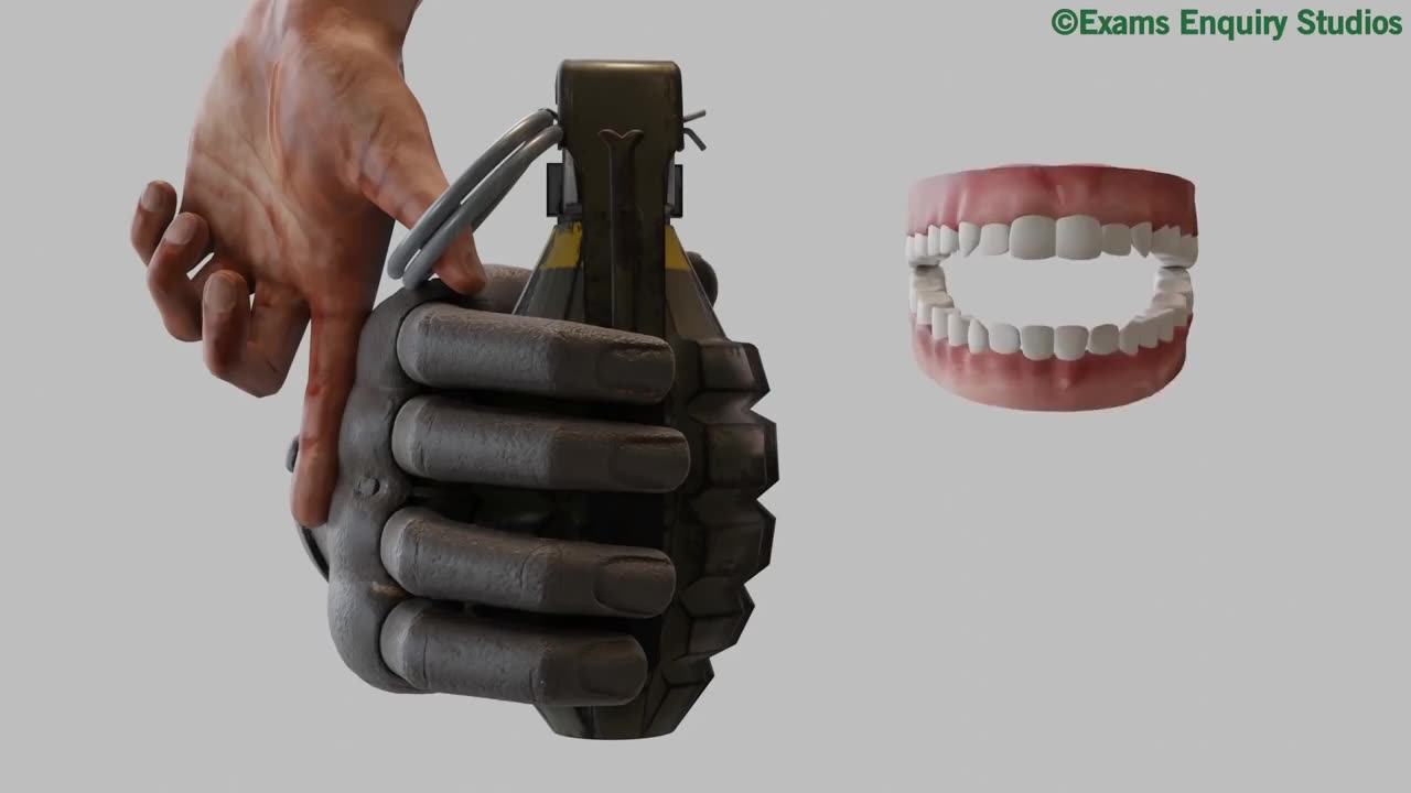 How Grenade Works? 3D Animation 60fps