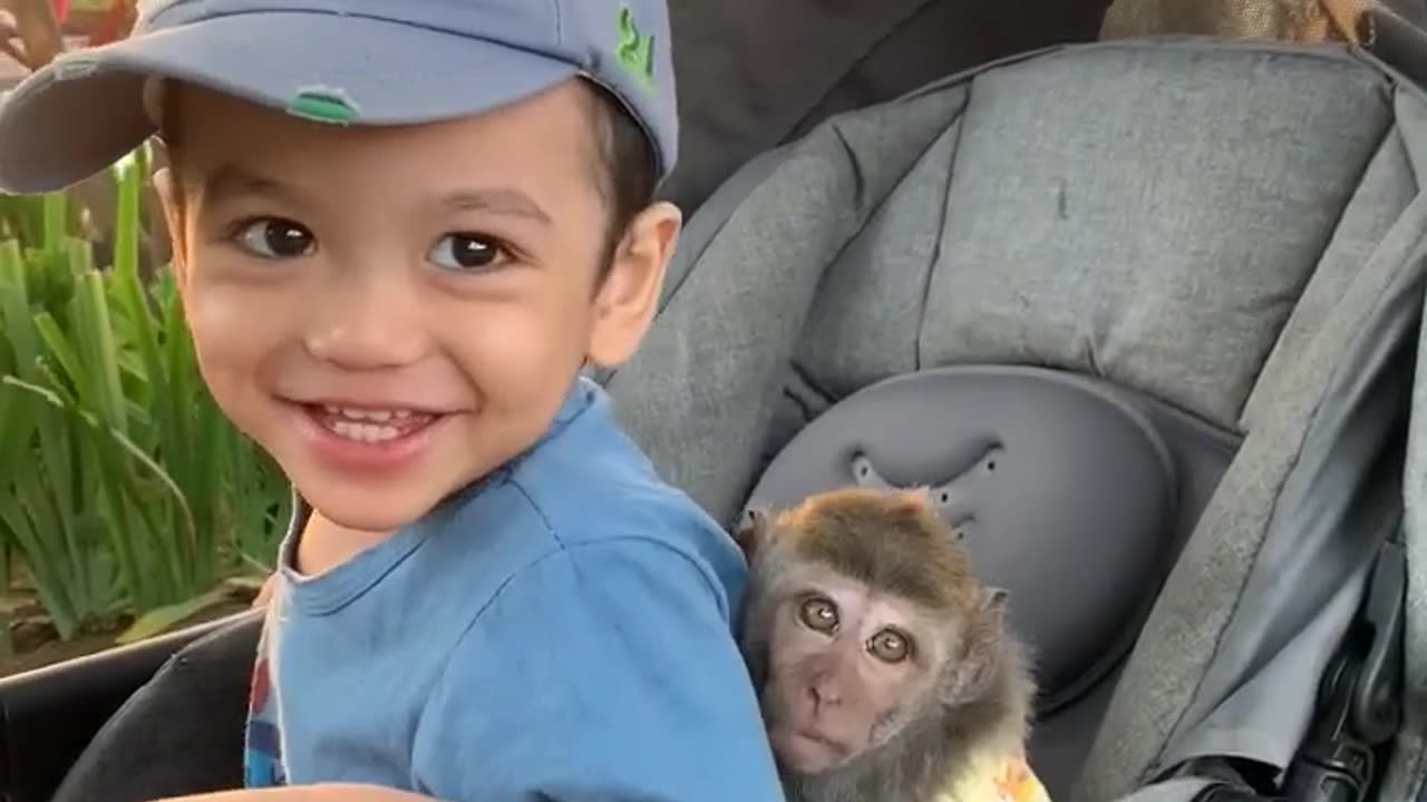 Hilarious Baby and Monkey Compilation: Fun Guaranteed!