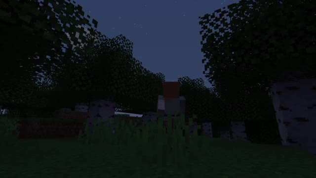 Minecraft 1-1.16.5 A new beginning Shorts 49