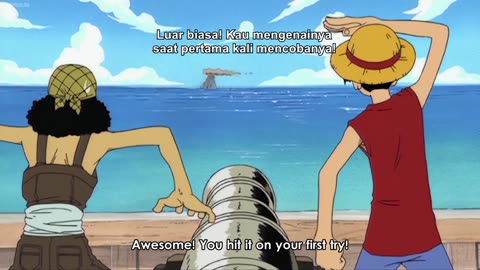 Luffy and Usopp Were Practicing Canon