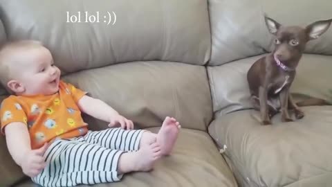 Cute Dogs and Babies are good friends