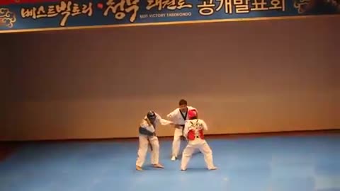 Most funniest fight of taekwondo in the world. - funny video