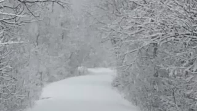 First footprints in fresh powder