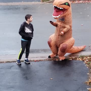 Dinosaurs in halifax