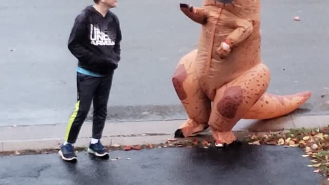 Dinosaurs in halifax