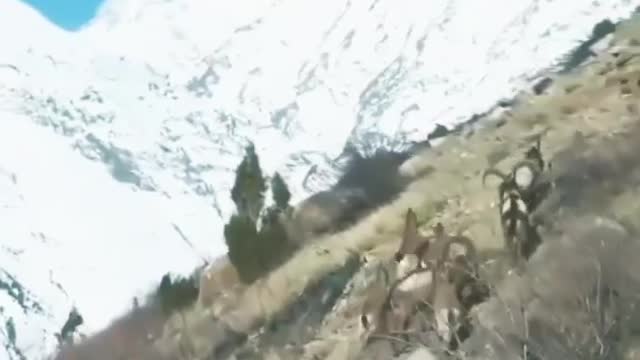 Beautiful Nature | fill this movement