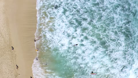 People Spending Their Day In A Beach