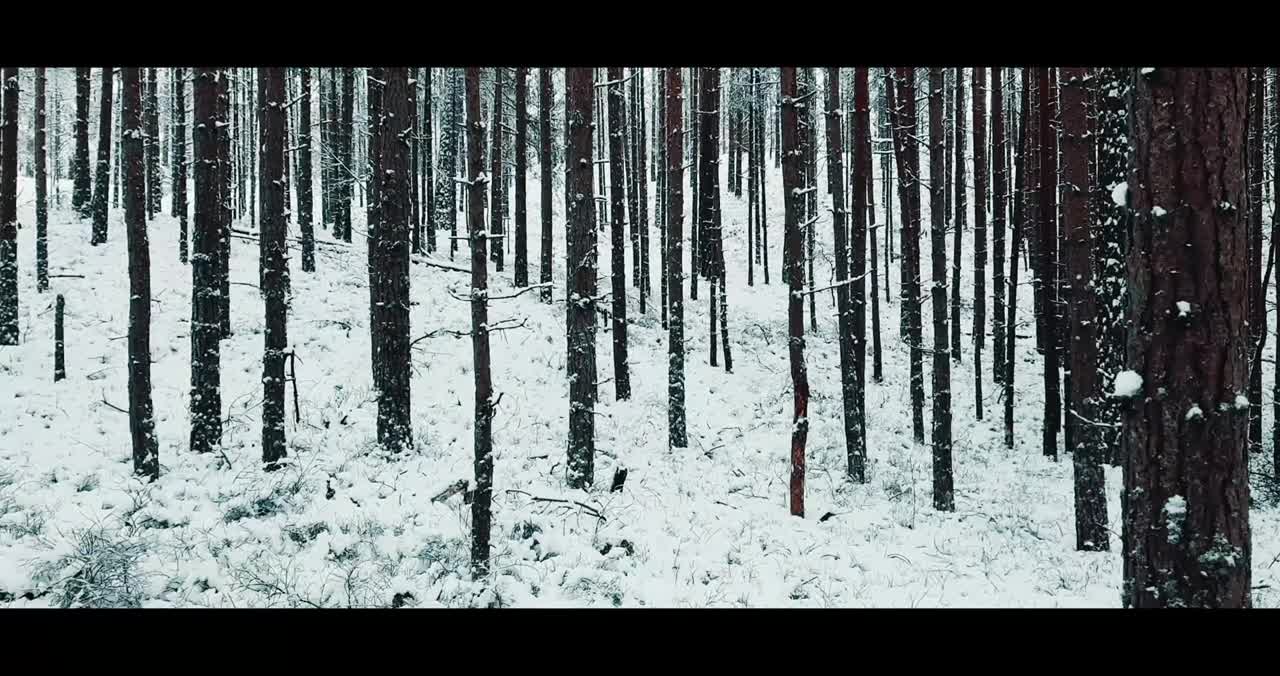 Winter nature short video l Winter cinematic short video