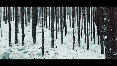 Winter nature short video l Winter cinematic short video