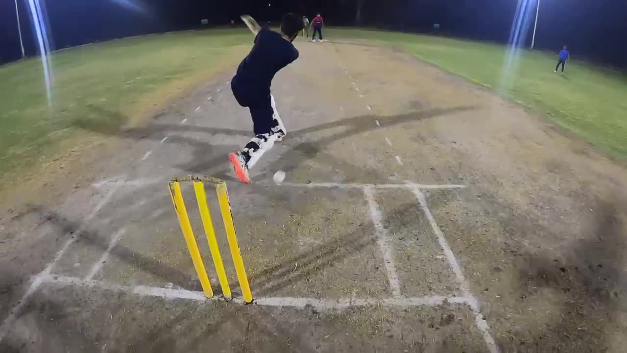 Lbw out or not?