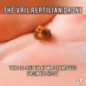 Reptilian vril drone
