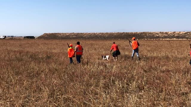 Youth Pheasant Hunt