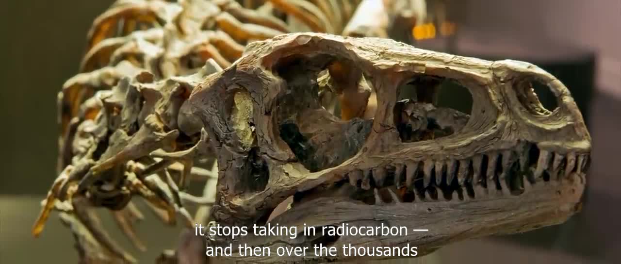 Proof Dinosaurs Are No Older Than 90 Thousand Years: Carbon 14